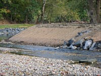 Tacony Creek